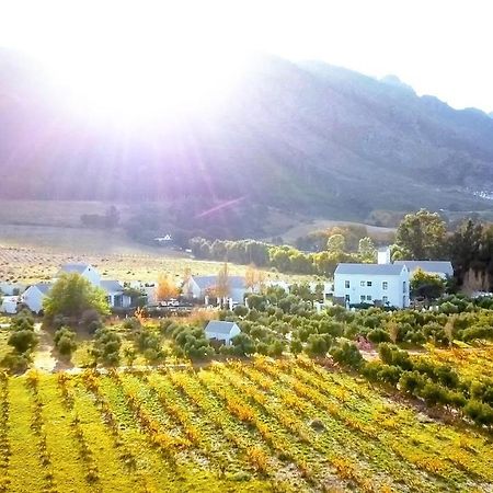 Droom Guesthouse Franschhoek Kültér fotó
