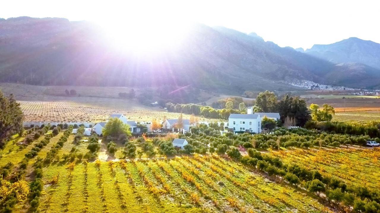 Droom Guesthouse Franschhoek Kültér fotó