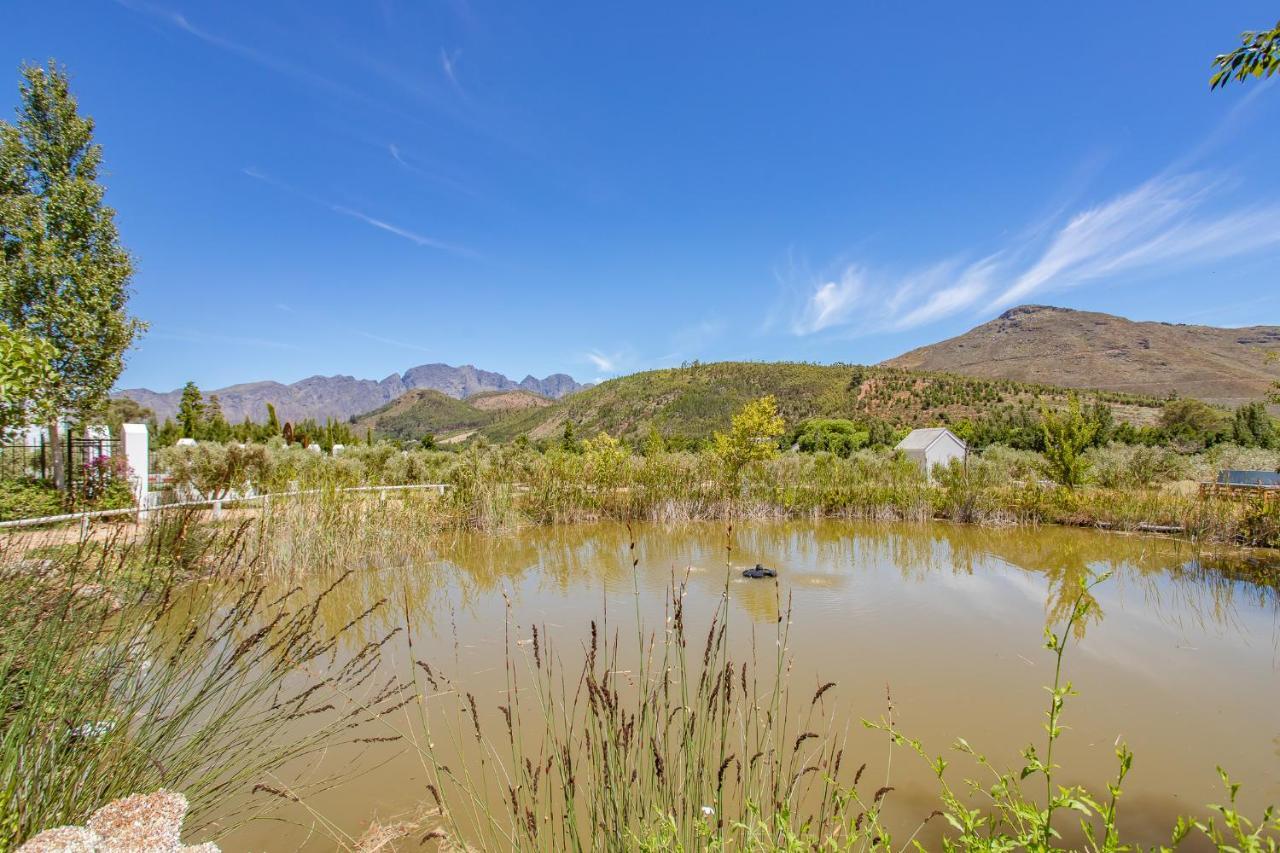 Droom Guesthouse Franschhoek Kültér fotó