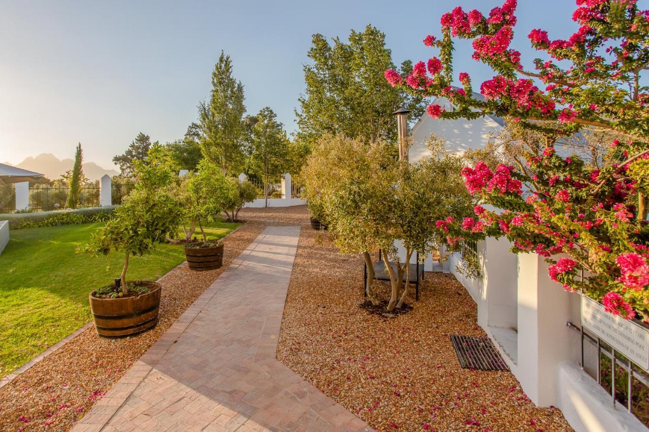 Droom Guesthouse Franschhoek Kültér fotó