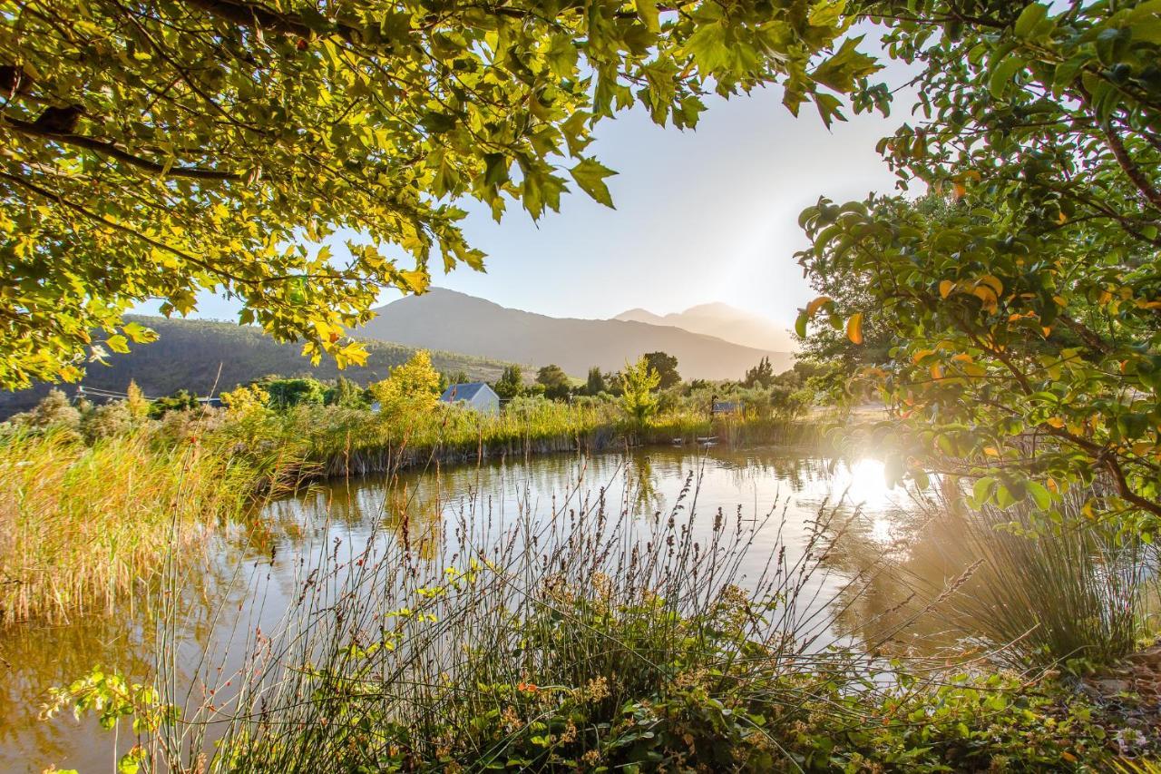 Droom Guesthouse Franschhoek Kültér fotó