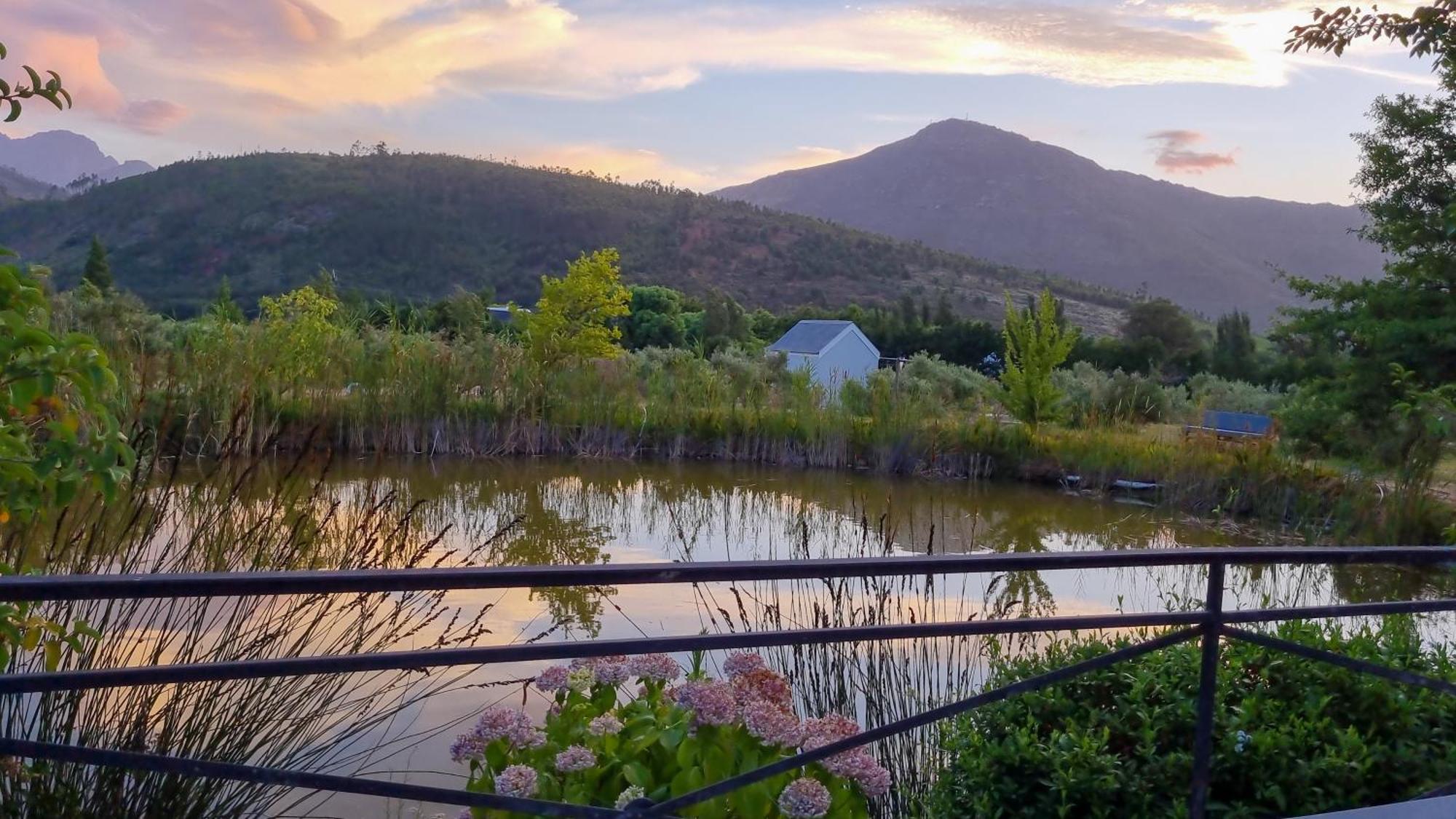 Droom Guesthouse Franschhoek Kültér fotó